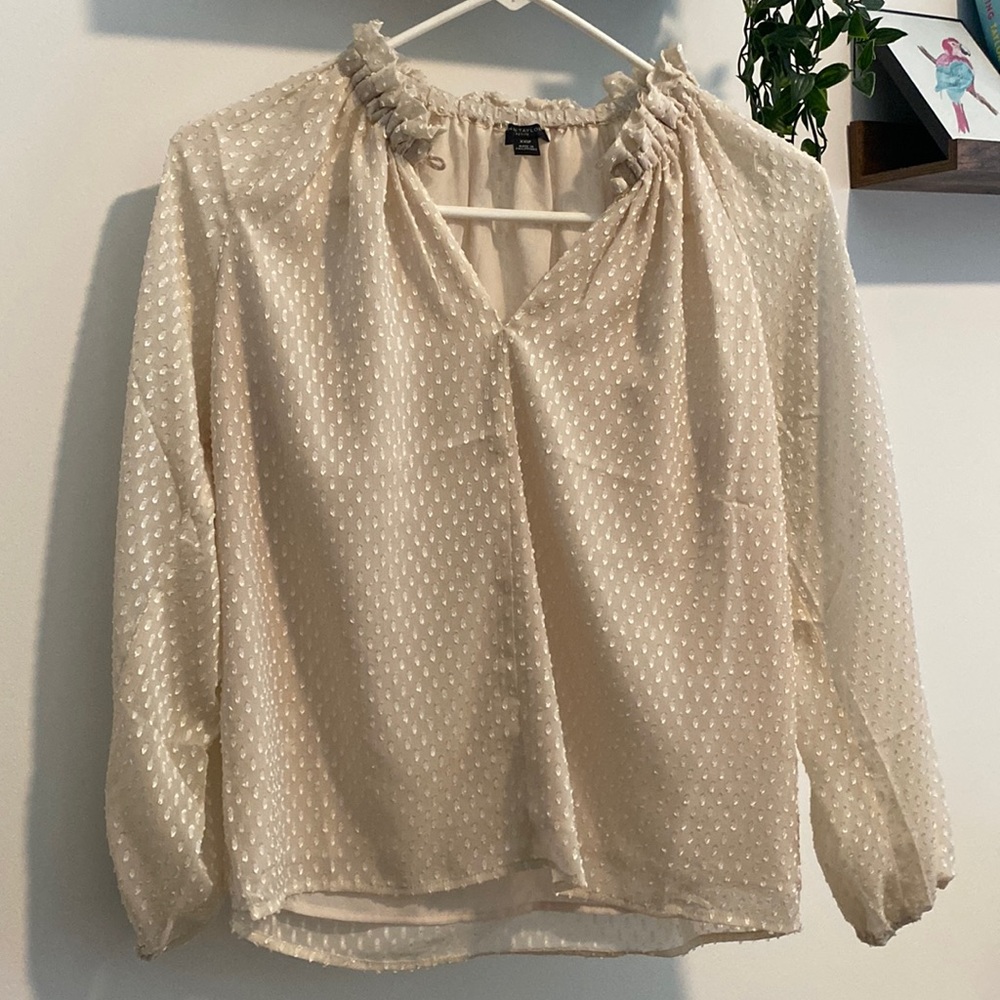 Ann Taylor Petite Pink Sheer Long Sleeved Blouse